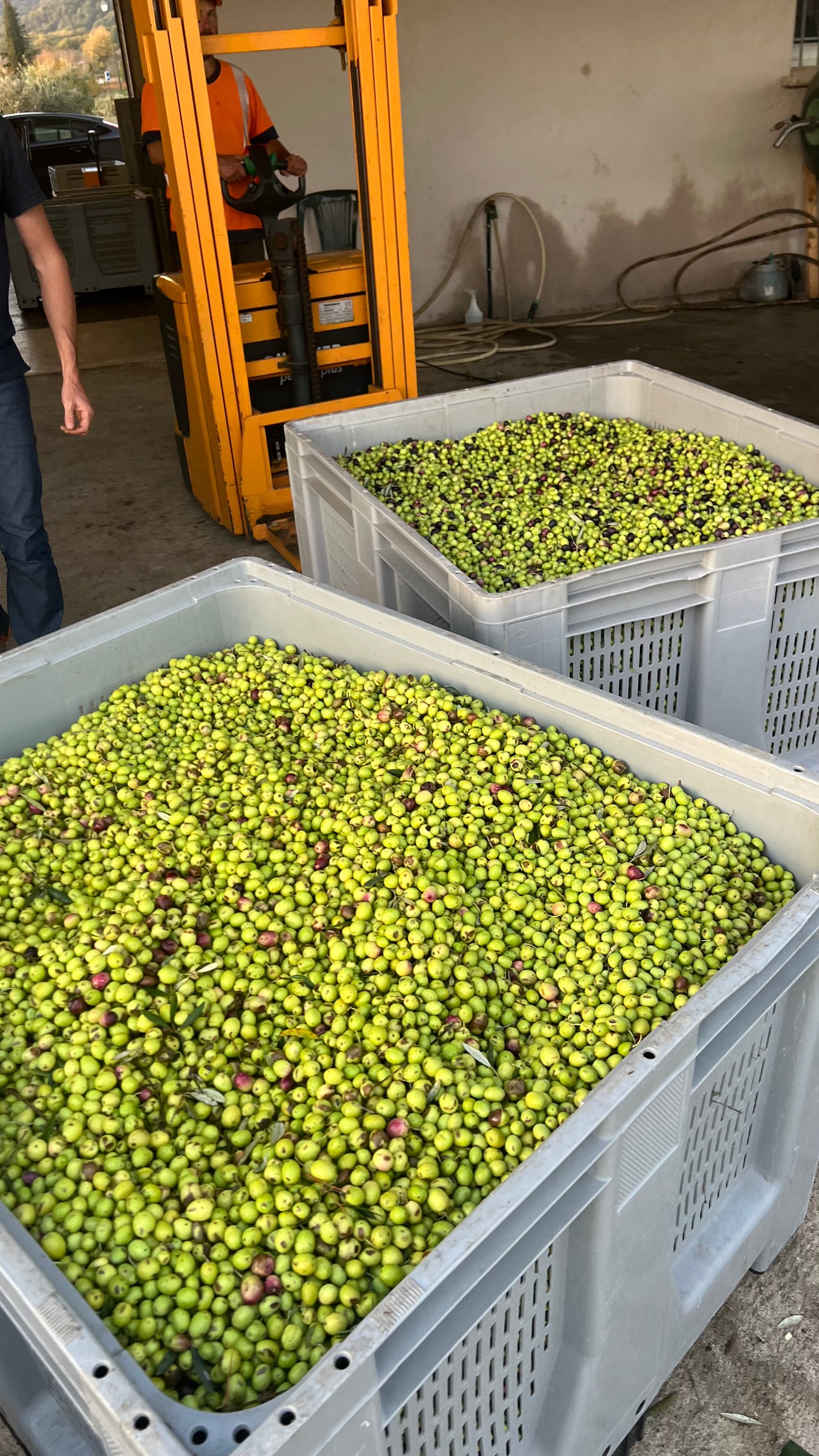 Huile d'Olive de Lourmarin